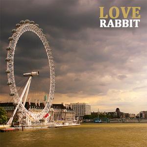 张柏芝殖器图12
